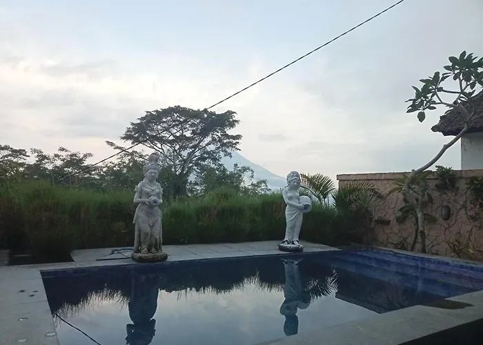 The Bunut *